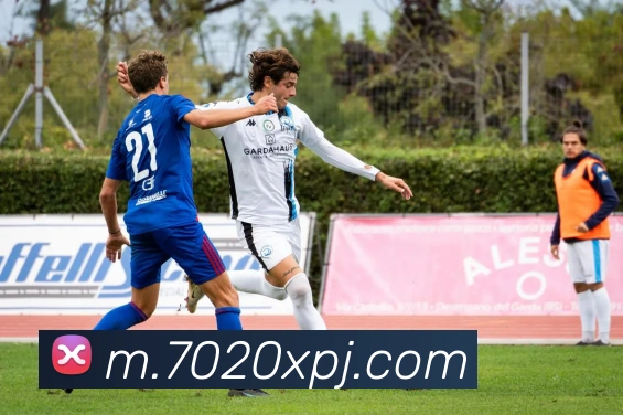 新葡京娱乐城官网APP 封面图